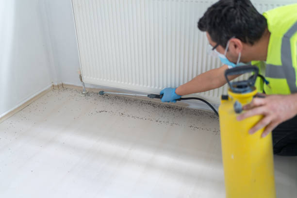 Pest Control for Restaurants in Arlington, WA
